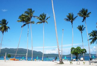 La Playita Beach Tour for Samana Cruise Ship.
