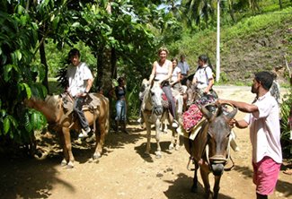 Limon Waterfall Tour for Samana Cruise Ship.
